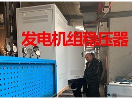 發電機組穩壓器案例